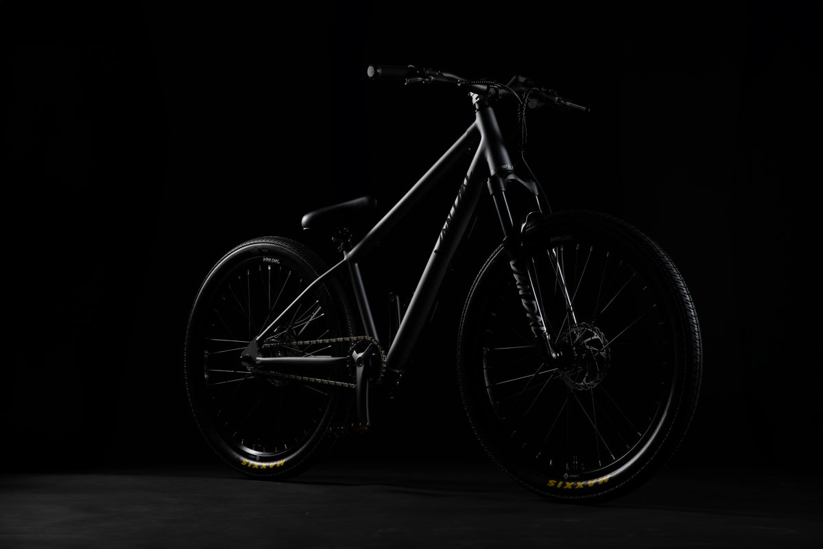 BLACK_VANDAL_IMG_4972.jpg__PID:131cb8a4-6146-4694-b16b-142afca26d83