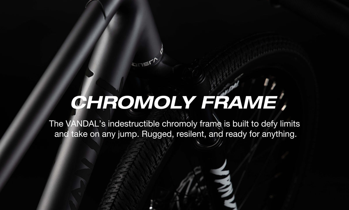 FRAME.jpg__PID:4c430045-94fa-4464-8150-a6bb5bc71f13