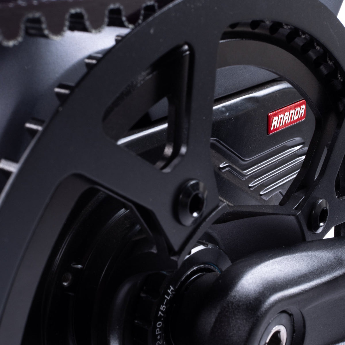 ONSRA QUASAR E-Bike – Carbon Drive Riemenscheibe